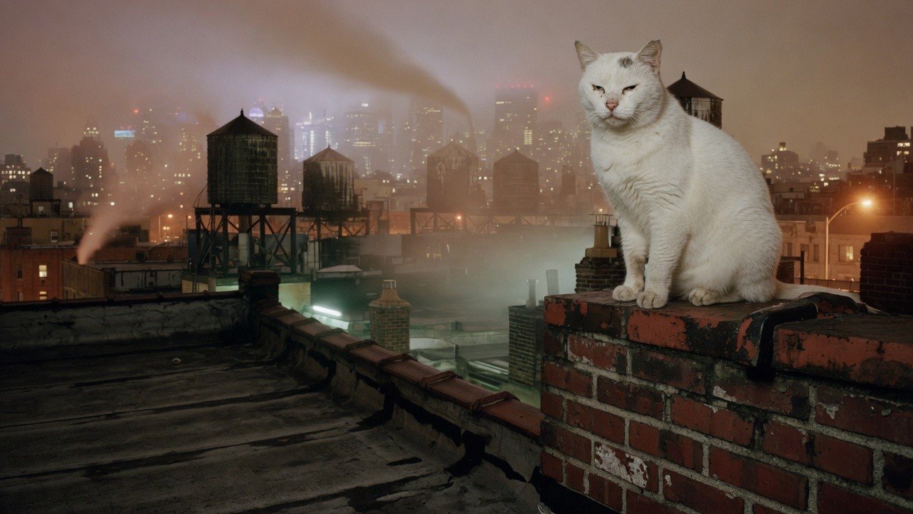 Cadebleng on a rooftop parapet above the city