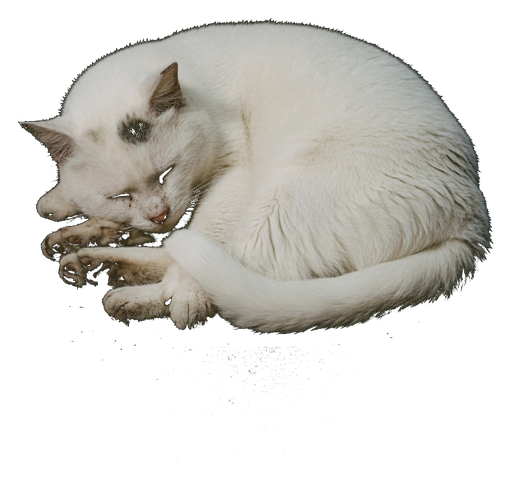 Sleep