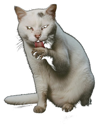 Lick