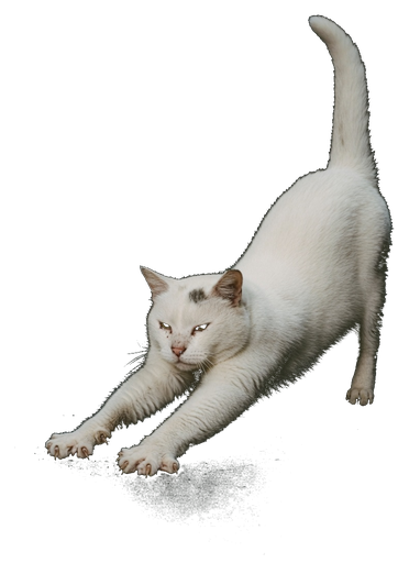 Stretch