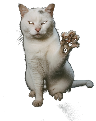 Paw up
