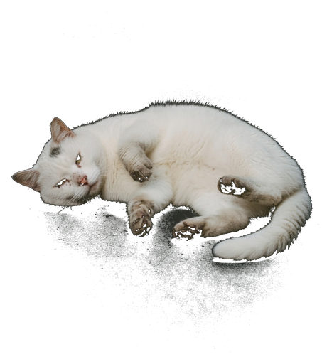 Roll
